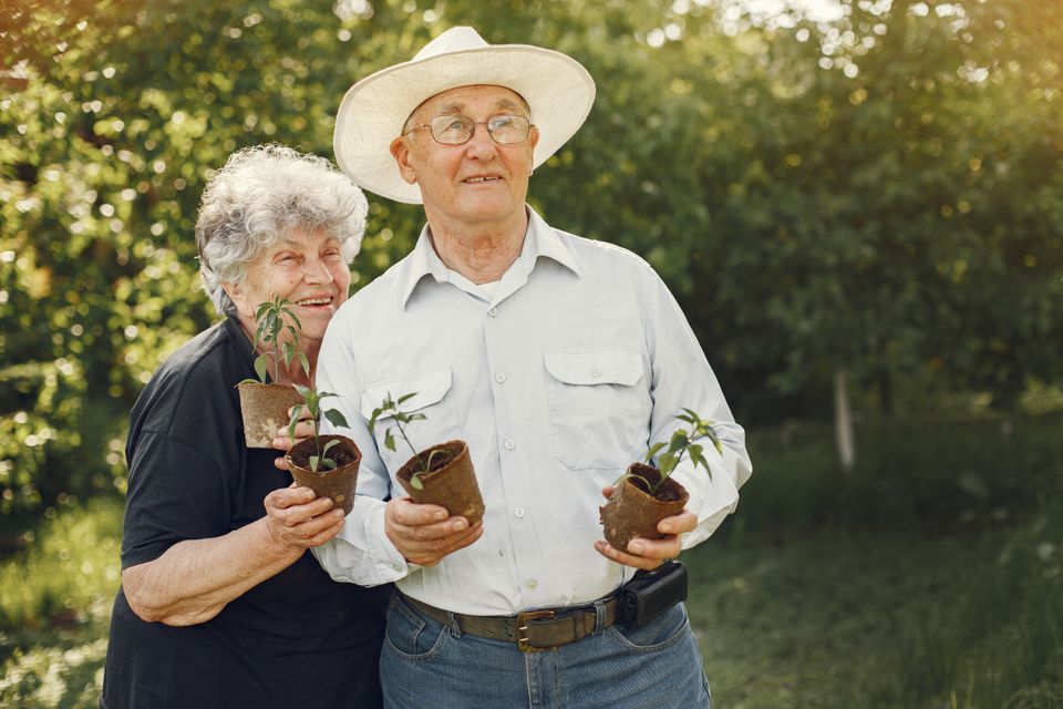 A couple in a sunny garden holding seedlings in pots